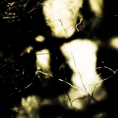 Optimal Meat To Bread Ratio 벅스