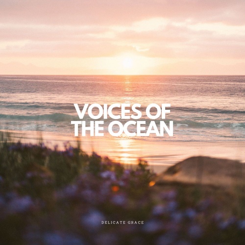 Delicate Grace/Voices Of The Ocean 벅스