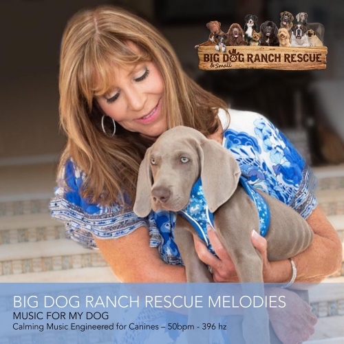 Big Dog Ranch Rescue Melodies 벅스