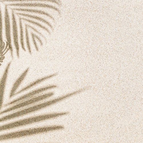 Sands - 벅스 Sands / LA Studios