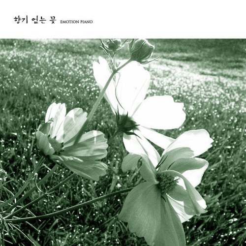 향기 없는 꽃/비야 - 벅스 향기 없는 꽃 / 비야
