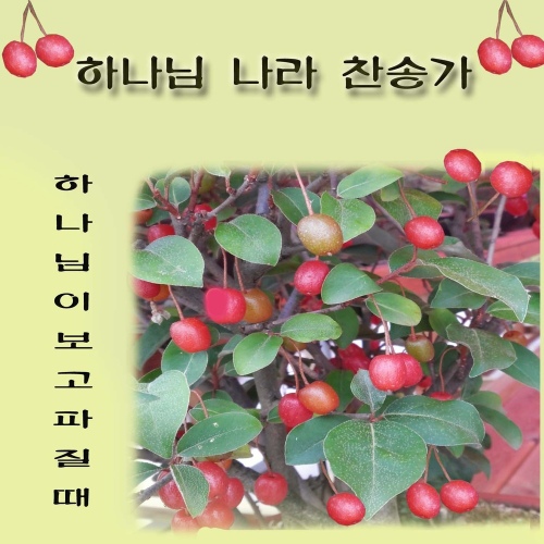 내주를 가까이하게함은/Unknown - 벅스