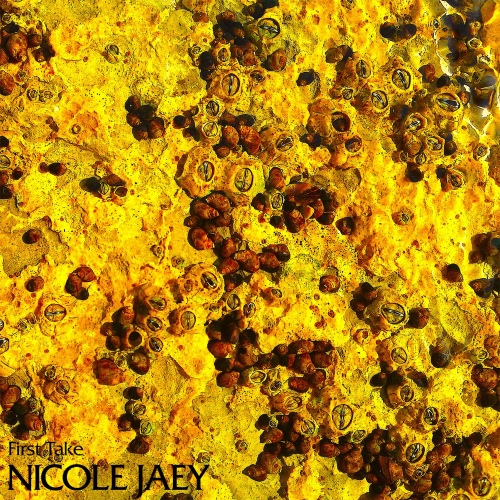 Grapes Of 5/Nicole Jaey(니콜 제이) - 벅스 Grapes Of 5 / Nicole Jaey(니콜 제이)