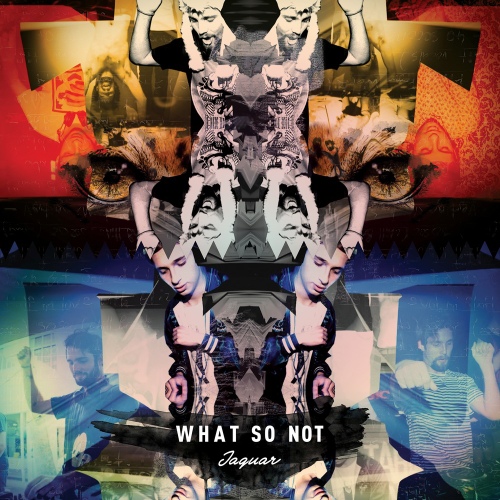 Jaguar - 벅스 Jaguar / What So Not(왓 소 낫)