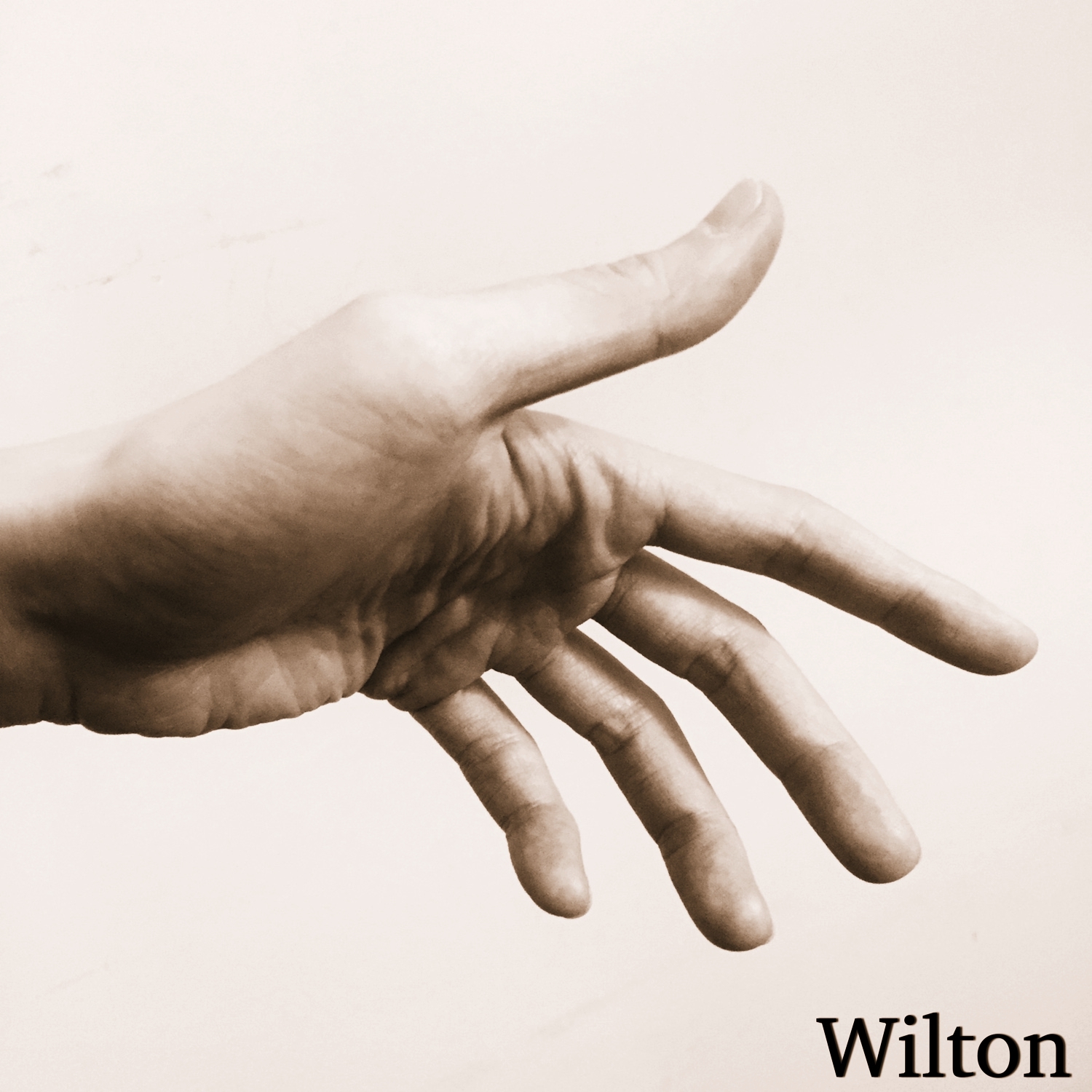 [미리듣기] 윌튼(Wilton) - 위로 | 인스티즈