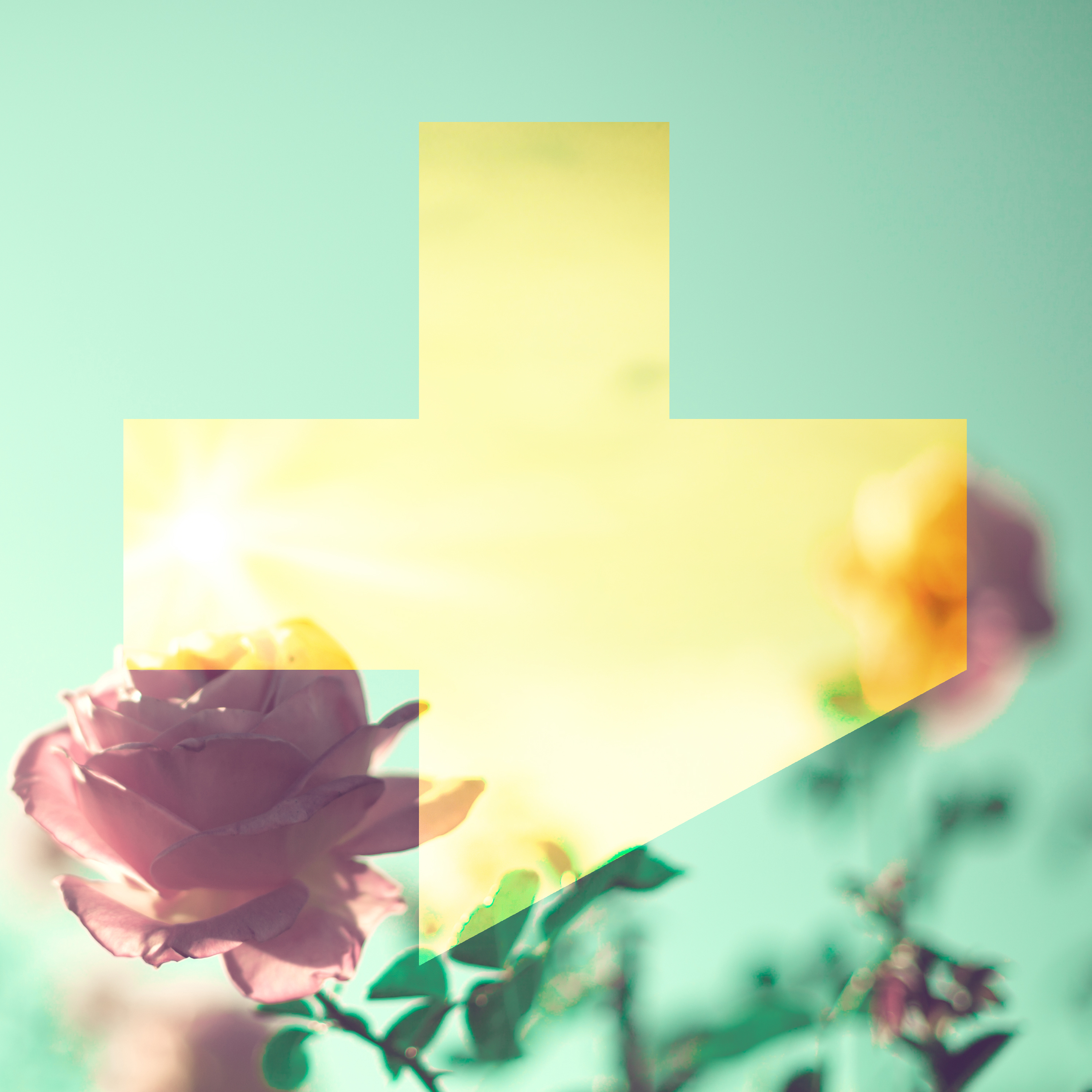 [미리듣기] 디아이 & 로코베리 - 첫눈에 | 인스티즈