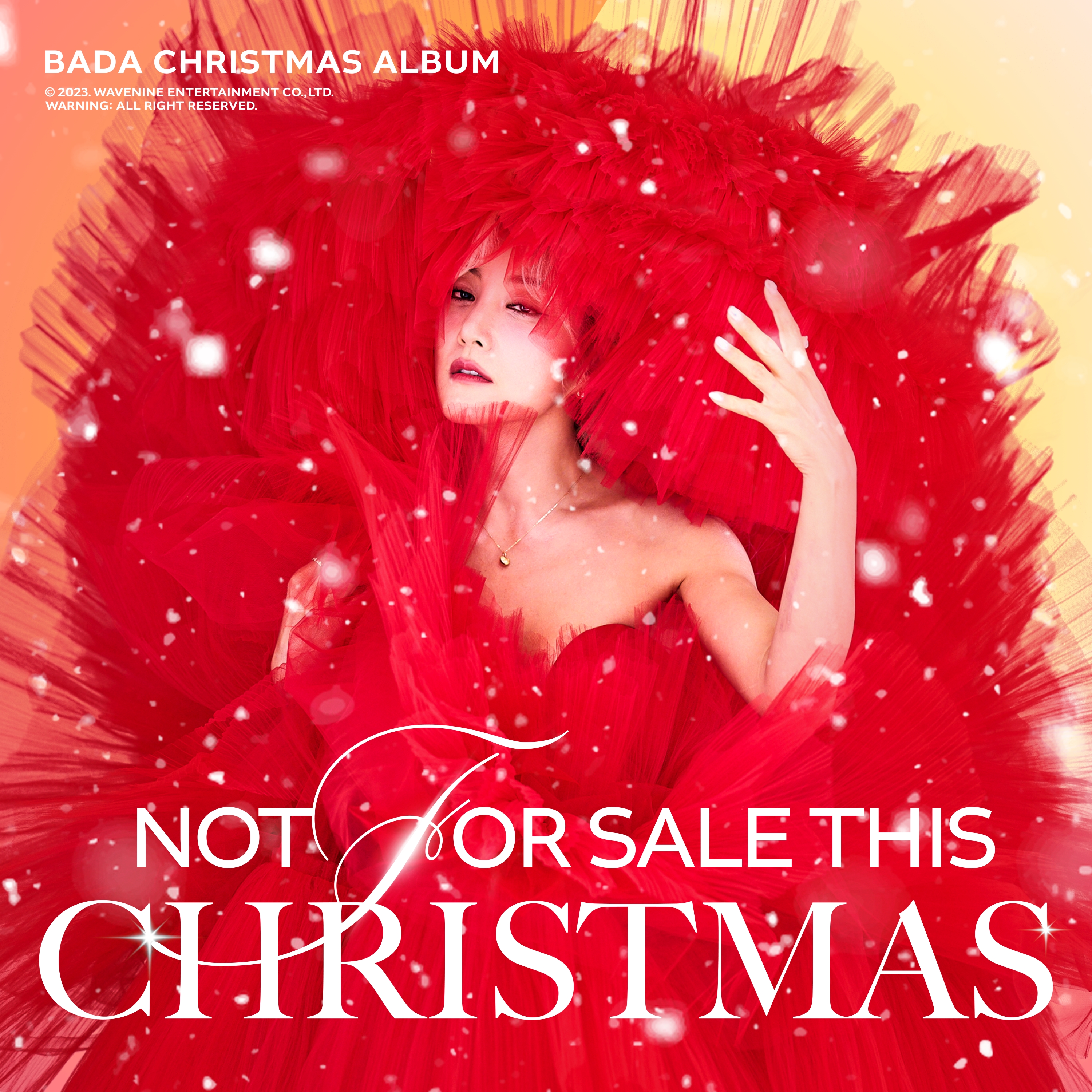 [情報] BADA - Not for sale this christmas