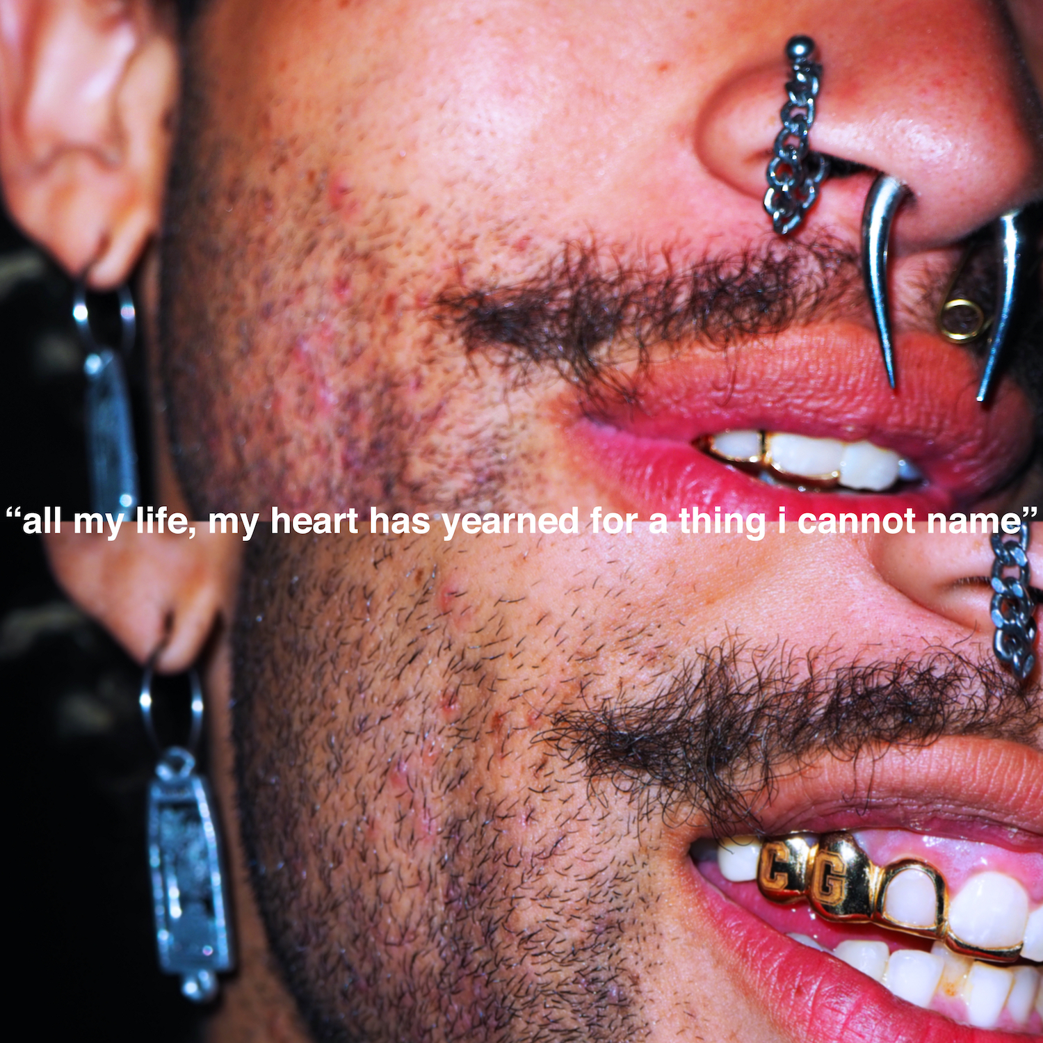 Album cover from All My Life, My Heart Has Yearned For A Thing I Cannot Name's "Cold Gawd"