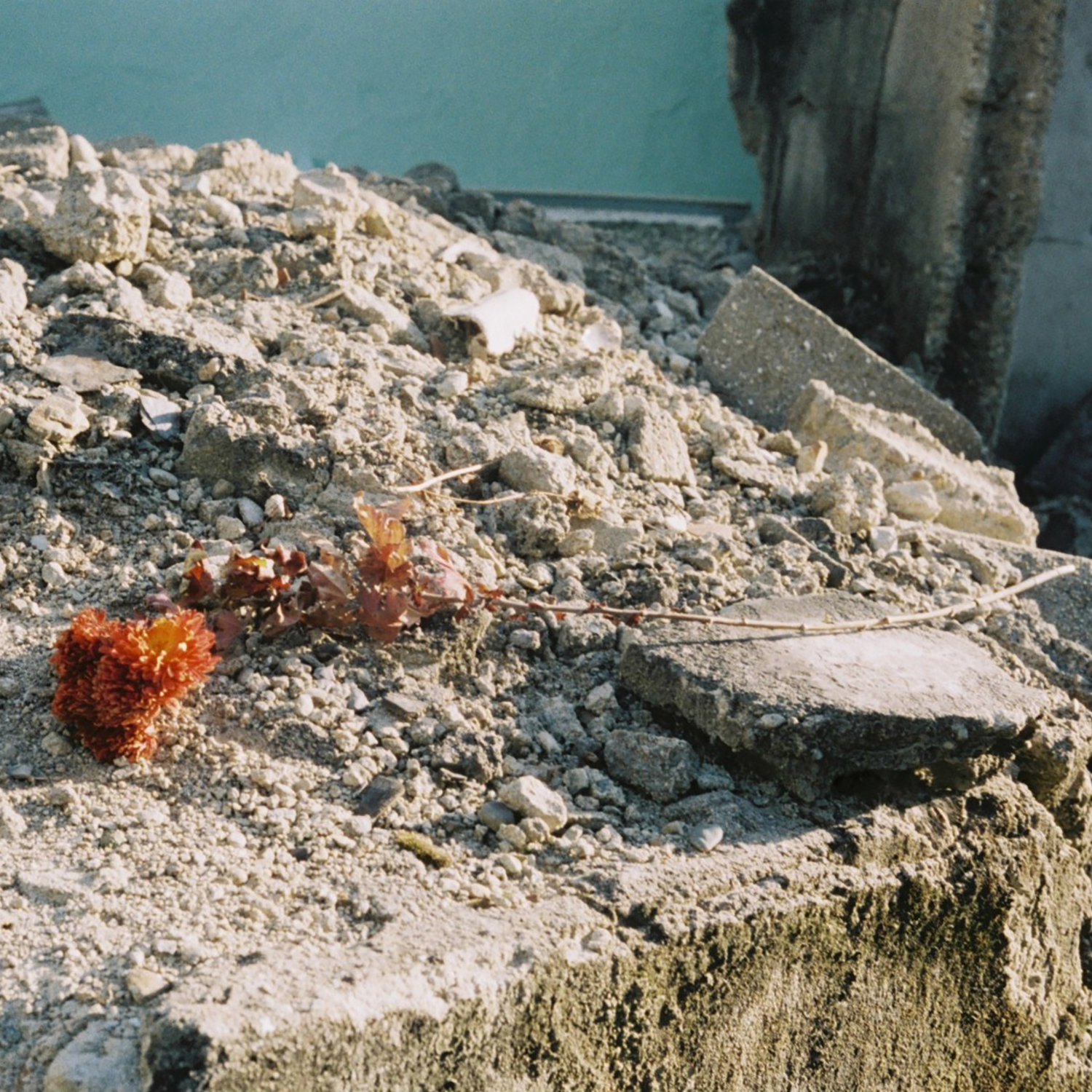 [미리듣기] 검은잎들 - 수 마디 사랑 | 인스티즈