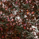 네가 없는 그 곳에서 대표이미지