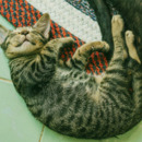 우리의 숙면을 위한 자장가 LIST 대표이미지