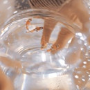 너는 다시 이 노래들이 생각 날거야 대표이미지