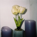 3월은 적당히 담백하게 살아갈 것 대표이미지