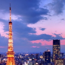 도쿄 야경이 보이는 루프탑 바에서 대표이미지