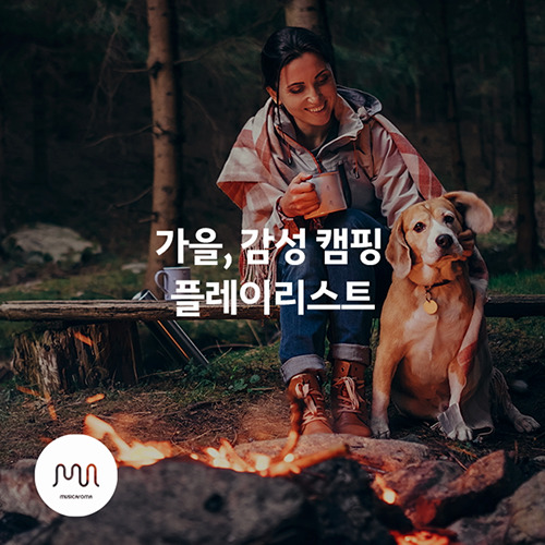 가을, 감성 캠핑 플레이리스트 - 벅스 가을, 감성 캠핑 플레이리스트 / 뮤직카로마