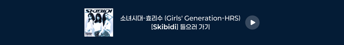 소녀시대-효리수 (Girls' Generation-HRS) - [Skibidi]