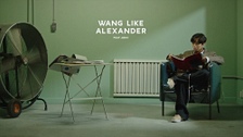 Alexandrite/Hash Swan - 벅스