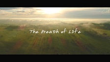 Breathe Life (생명의 숨결) 영상 대표이미지