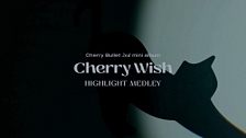 Cherry Wish (Highlight Medley) 영상 대표이미지