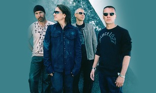 이젠 제발 내한 좀 - 내한 기원 아티스트 대표이미지